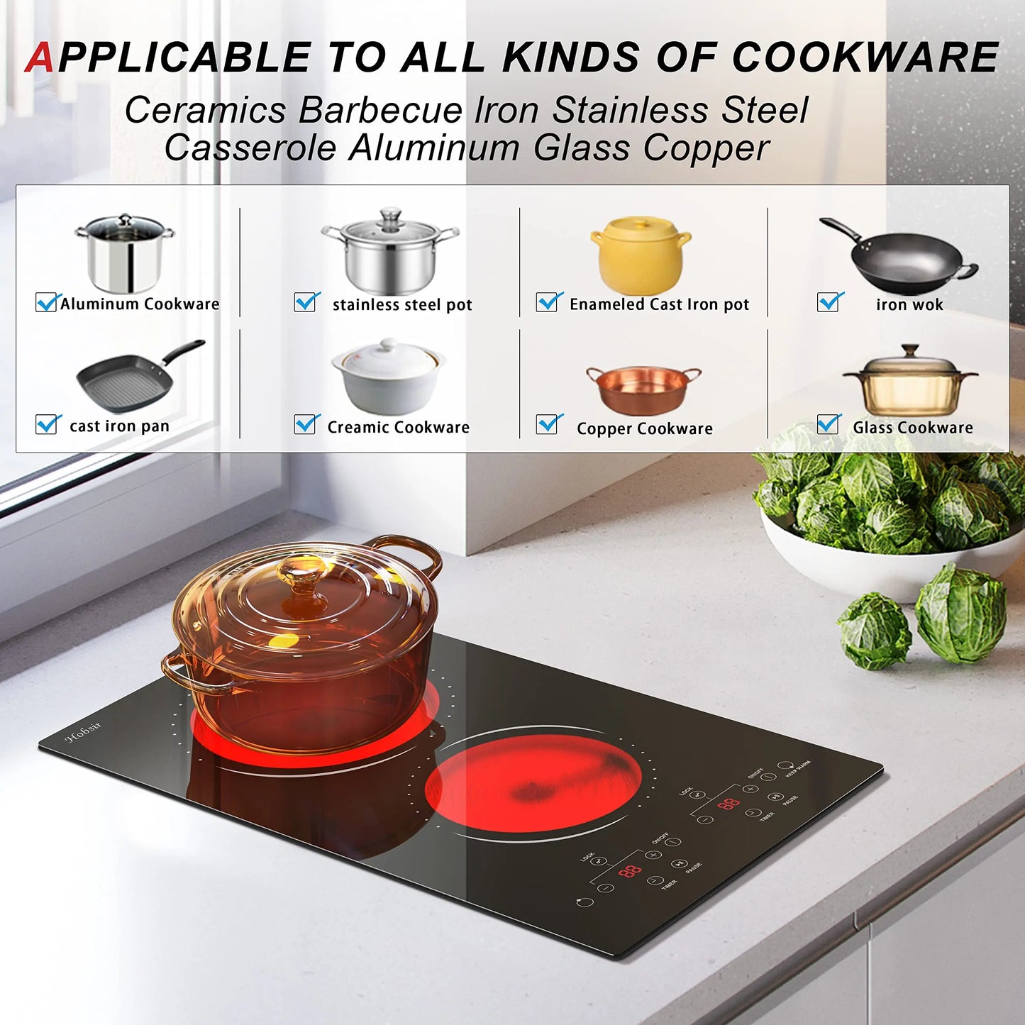 12 Inch 2 Burner Built-in Radiant Electric Stove,110v-120v Plug In,2000W,with Safety Lock, Timer, Over-Temperature Protection