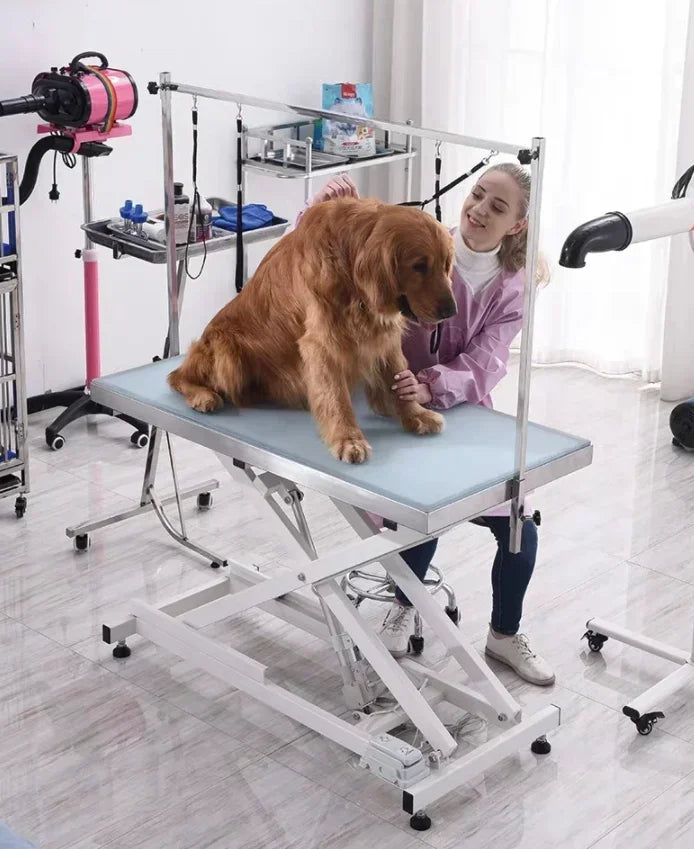 MT MEDICAL Electric adjustable Pet Professional Dog Show Foldable Grooming Table For Pets