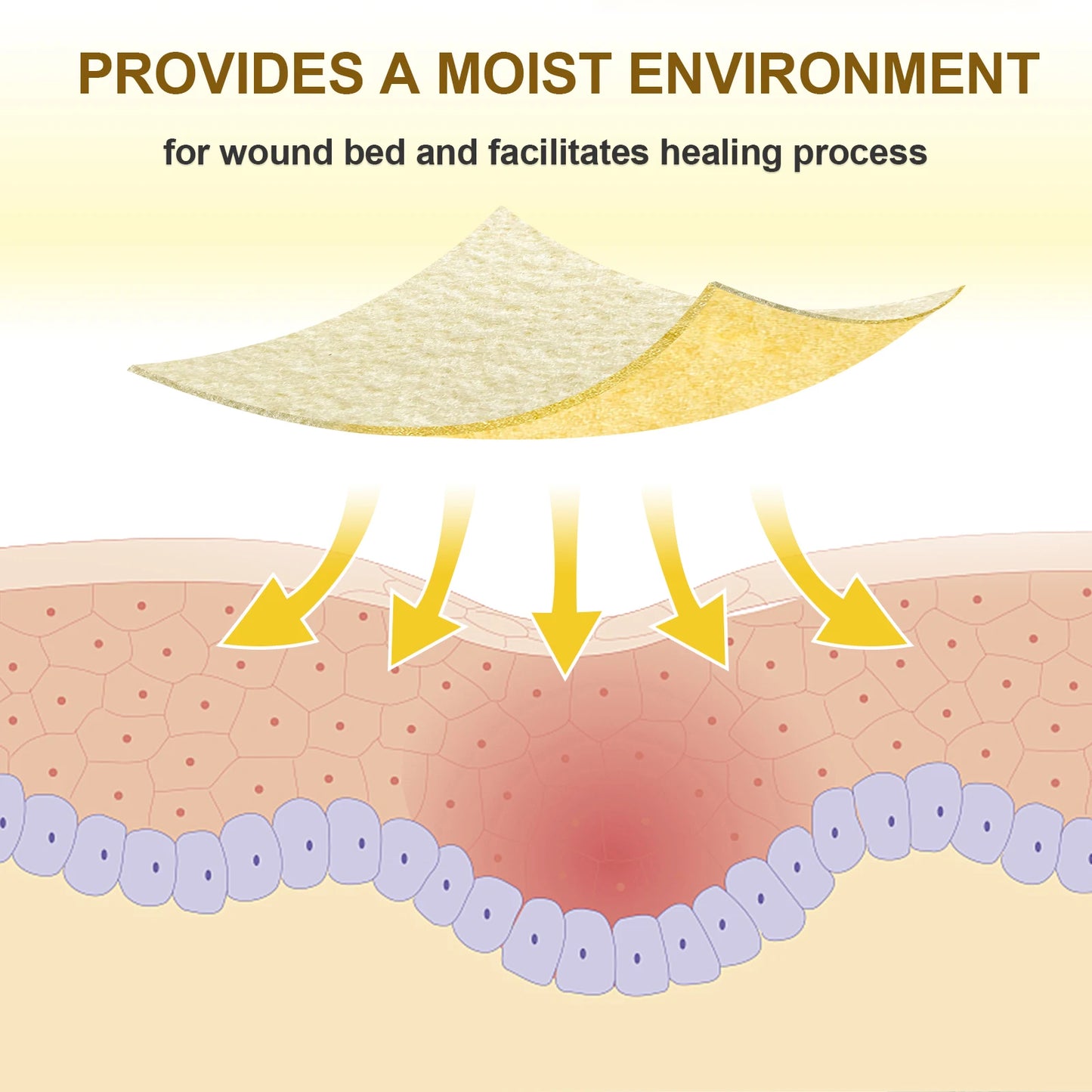 2"x2" 10pcs Manuka Honey Calcium Alginate Wound Dressing High Absorbency Honey Wound Bandages for Wound Care