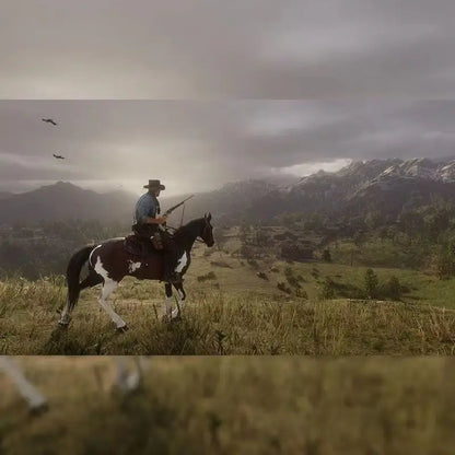 Sony Genuine Licensed Playstation 4 PS4 Red Dead Redemption 2 RDR2 Game CD Game Card Ps5 Games Disks Red Dead Redemption 2 RDR2