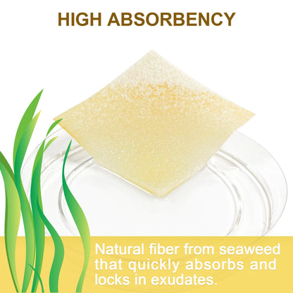 2"x2" 10pcs Manuka Honey Calcium Alginate Wound Dressing High Absorbency Honey Wound Bandages for Wound Care